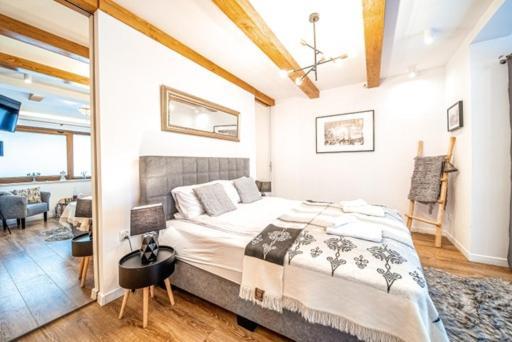 Apartament Kamieniec Zakopane Extérieur photo